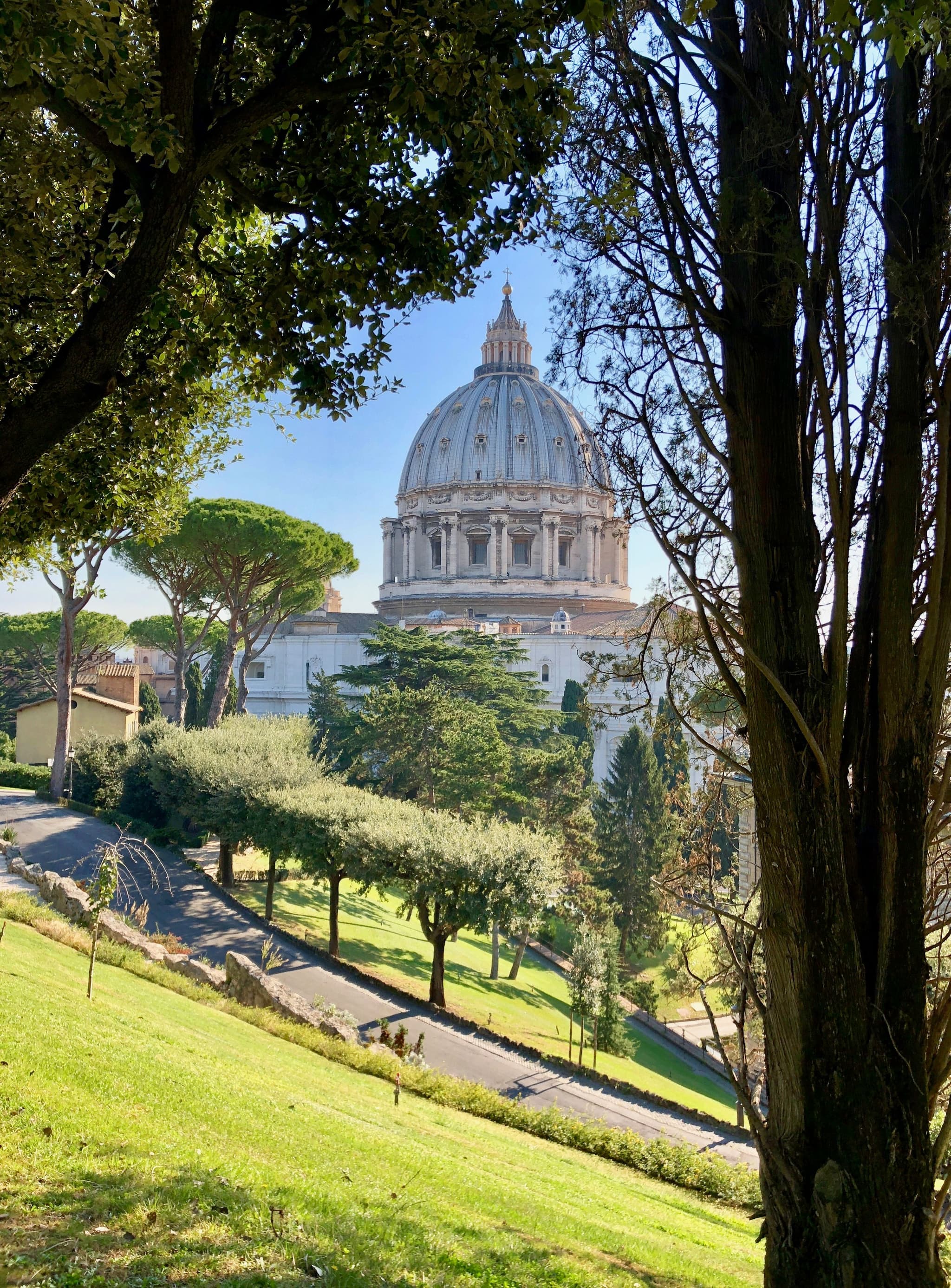 Vatican Museums & Sistine Chapel Guided Tour